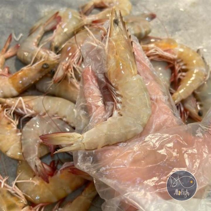 میگو صورتی بوشهر سایز متوسط (پک 5 کیلویی)